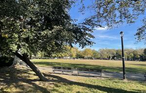 Park-side Single Family Townhouse | With parking! - Brooklyn, New York