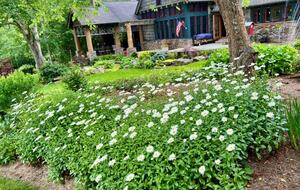 Farm Hollow - Banner Elk, North Carolina