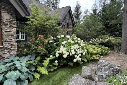 Farm Hollow - Banner Elk, North Carolina