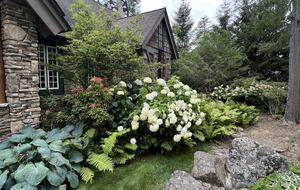 Farm Hollow - Banner Elk, North Carolina