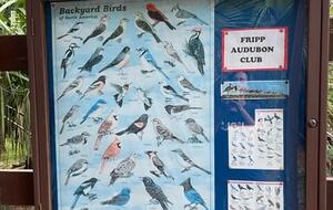 Fripp Island Beach Getaway - Fripp Island, South Carolina