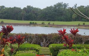 Golf course view from backyard