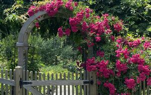 Custom secluded home on Cape Cod - Truro, Massachusetts