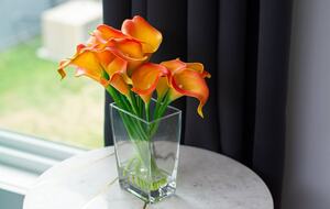 Vibe | Trendy East Nashville Townhome - Nashville, Tennessee