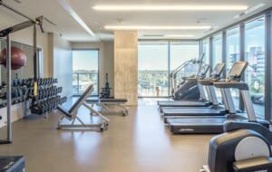 Natiivo Austin Clementine - Austin, Texas