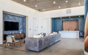 Natiivo Austin Clementine - Austin, Texas