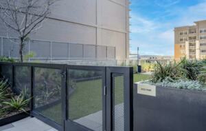 Natiivo Austin Clementine - Austin, Texas