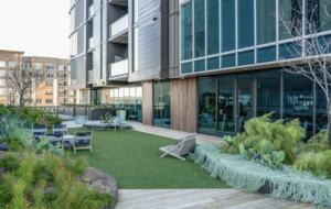 Natiivo Austin Clementine - Austin, Texas