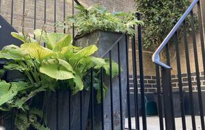 5 Christs Court - Cambridge, United Kingdom