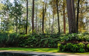 Casa Fika - Valle de Bravo, Mexico
