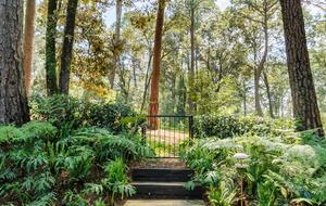 Casa Fika - Valle de Bravo, Mexico