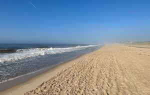 Hamptons Luxury House with Pool/Hot tub and Mature Garden 8 min walk to Beach - East Hampton, New York