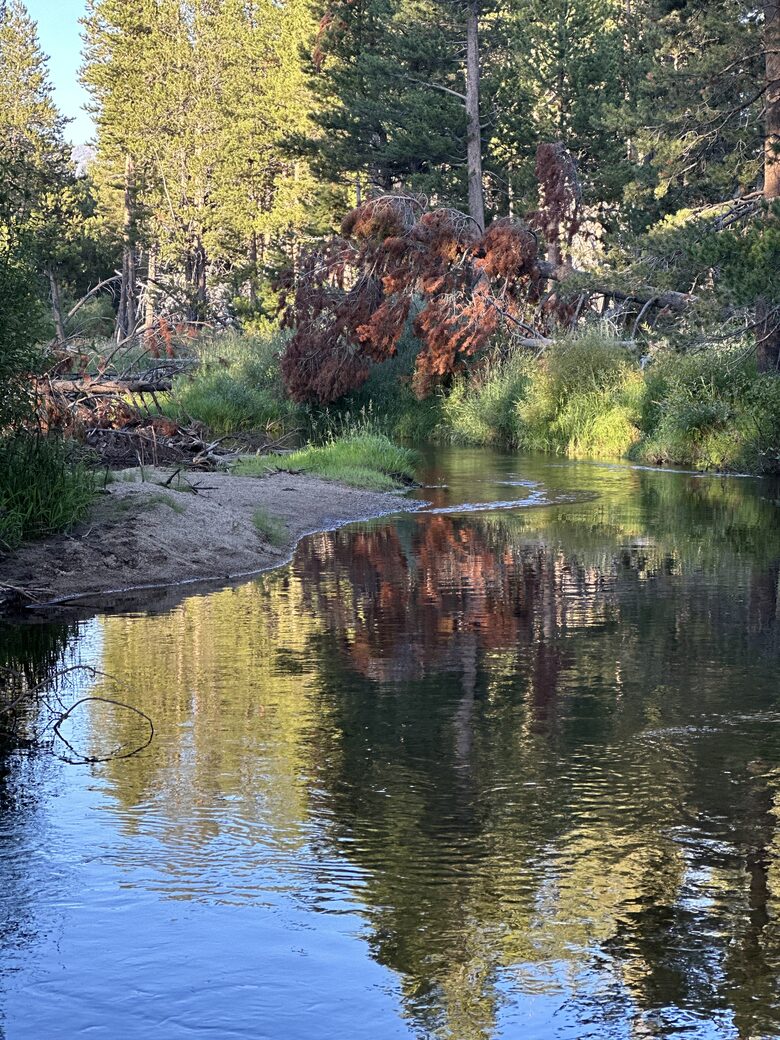 Luxurious Tahoe Cabin - South Lake Tahoe, California
