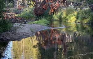Luxurious Tahoe Cabin - South Lake Tahoe, California