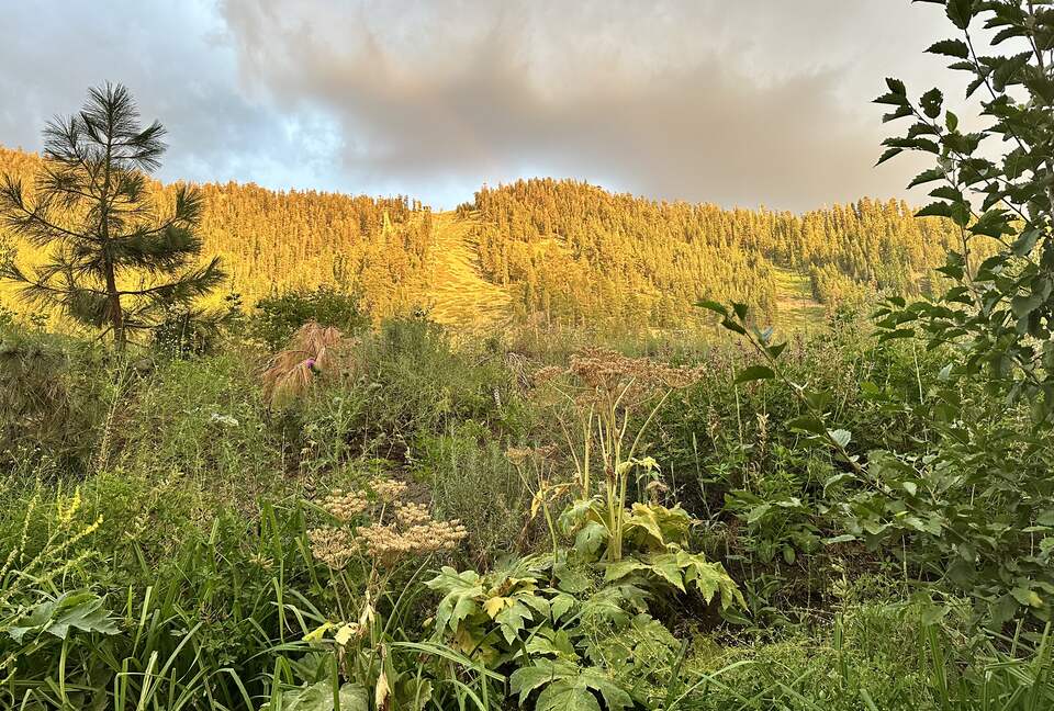 Luxurious Tahoe Cabin - South Lake Tahoe, California