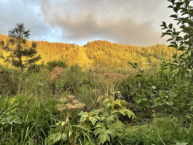 Luxurious Tahoe Cabin - South Lake Tahoe, California