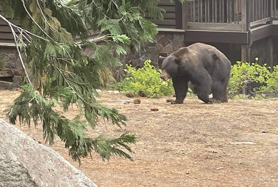 Luxurious Tahoe Cabin - South Lake Tahoe, California