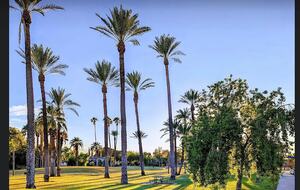 Luxurious Hacienda Hideaway in Arcadia - Phoenix, Arizona