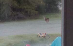 Little spot of Heaven | Watch the amazing sunsets - Brenham, Texas