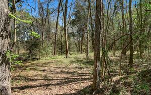 Brenham-Home/Barn | Amazing place to stay! - Brenham, Texas