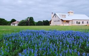 Brenham-Home/Barn | Amazing place to stay! - Brenham, Texas