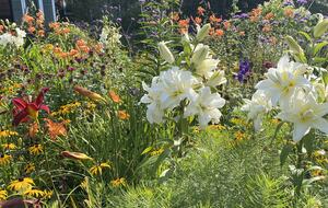 Custom secluded home on Cape Cod - Truro, Massachusetts