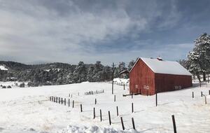 Cold Springs Ranch: Mtn views, 20 acres, 5 bd/7 bath, hot tub, sauna, frisbee golf, luxurious - Golden, Colorado
