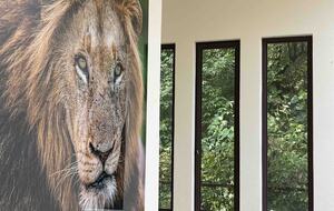 Valle de Bravo Natural Lake House - Valle de Bravo, Mexico