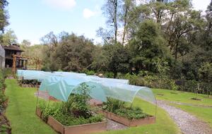 Valle de Bravo Natural Lake House - Valle de Bravo, Mexico