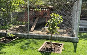 Valle de Bravo Natural Lake House - Valle de Bravo, Mexico