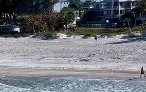 Tropical Beach House | Private & Luxurious with Beach View, Pool, Spa, and Steps to Sand! - Bradenton Beach, Florida