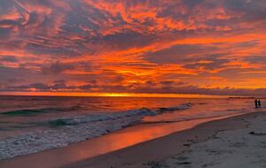 Tropical Beach House | Private & Luxurious with Beach View, Pool, Spa, and Steps to Sand! - Bradenton Beach, Florida