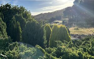 Fóia Mountain Lodge - Monchique, Portugal