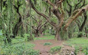 Papakea | Hawaii Getaway with Loft - Lahaina, Hawaii