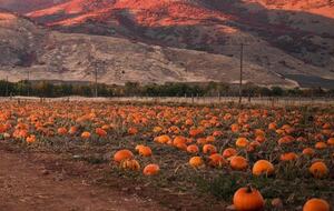 The Bell Ranchette - Huntsville, Utah