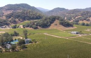 Luxury Napa Estate in the Heart of Wine Country - Napa, California