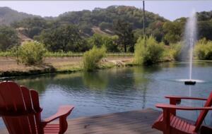 Luxury Napa Estate in the Heart of Wine Country - Napa, California