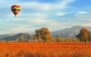 Luxury Napa Estate in the Heart of Wine Country - Napa, California