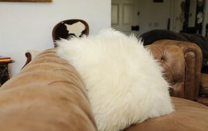 Santa Sylvina Estancia | Unforgettable Argentinian Estate | 250+ Acres | Beach and Golf Club Access! - Chapadmadal, Mar de Plata, Argentina