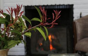 Santa Sylvina Estancia | Unforgettable Argentinian Estate | 250+ Acres | Beach and Golf Club Access! - Chapadmadal, Mar de Plata, Argentina