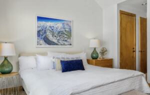 Slopeside Telluride - Mountain Village, Colorado