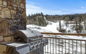 Slopeside Telluride - Mountain Village, Colorado
