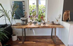 Lush Midcentury Home | As seen on HBO’s Sweet Life - Los Angeles, California