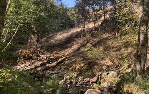 Serene Cabin in the Woods with Creek - Mosier, Oregon