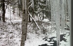 Serene Cabin in the Woods with Creek - Mosier, Oregon