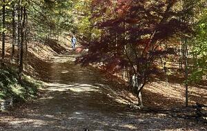 Custom Built Log Cabin on Pristine Lake Santeetlah - Robbinsville, North Carolina