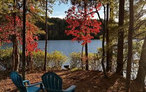 Custom Built Log Cabin on Pristine Lake Santeetlah - Robbinsville, North Carolina
