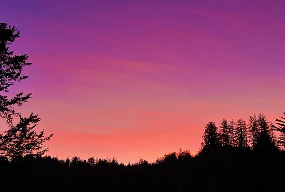 Sonoma Wine Country Estate - as seen on Emmy Award winning show Staycation! - Sebastopol, California