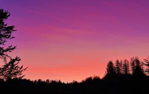 Sonoma Wine Country Estate - as seen on Emmy Award winning show Staycation! - Sebastopol, California