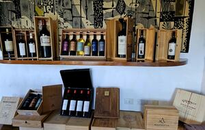 Santa Sylvina Estancia | Unforgettable Argentinian Estate | 250+ Acres | Beach and Golf Club Access! - Chapadmadal, Mar de Plata, Argentina